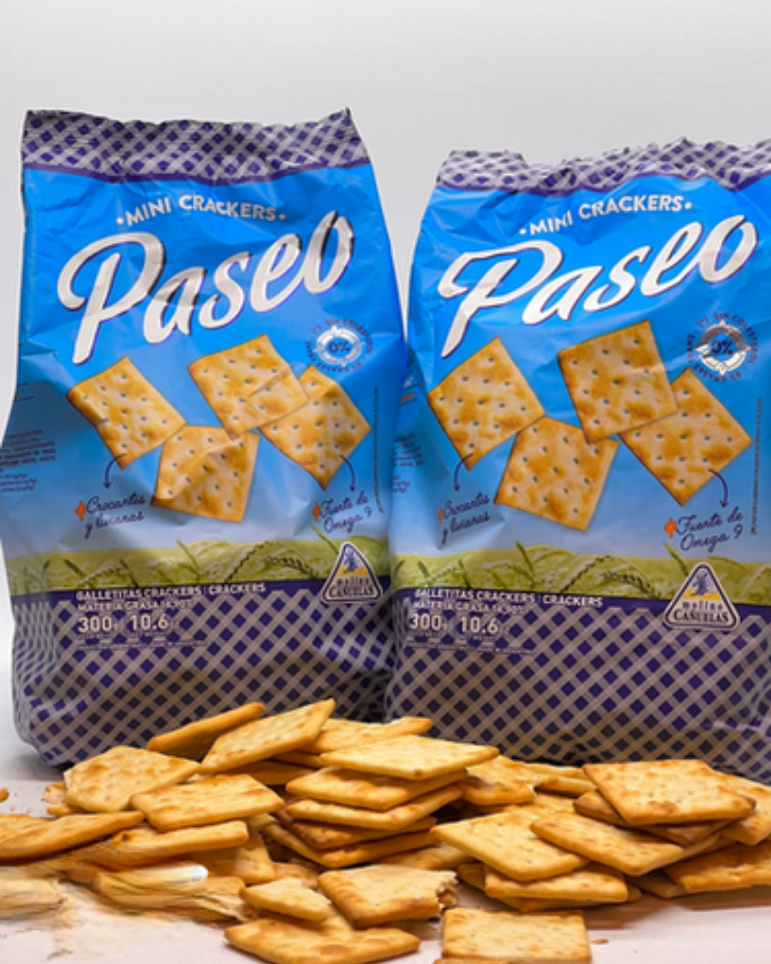 Galletas Paseo - 300 gramos