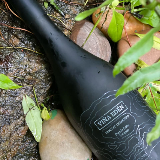 Tannat CEMENTO - Viña Eden 750ML (Calidad PREMIUM)